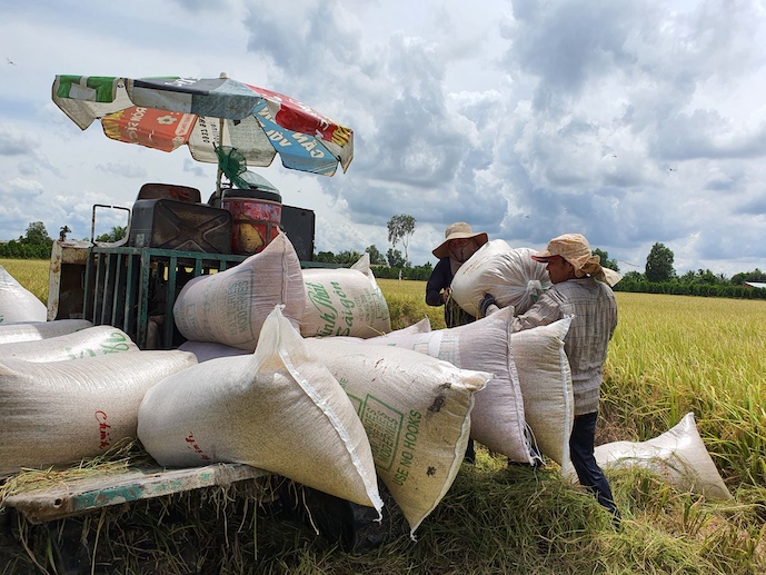 Ảnh minh họa. Nguồn: vov.vn 