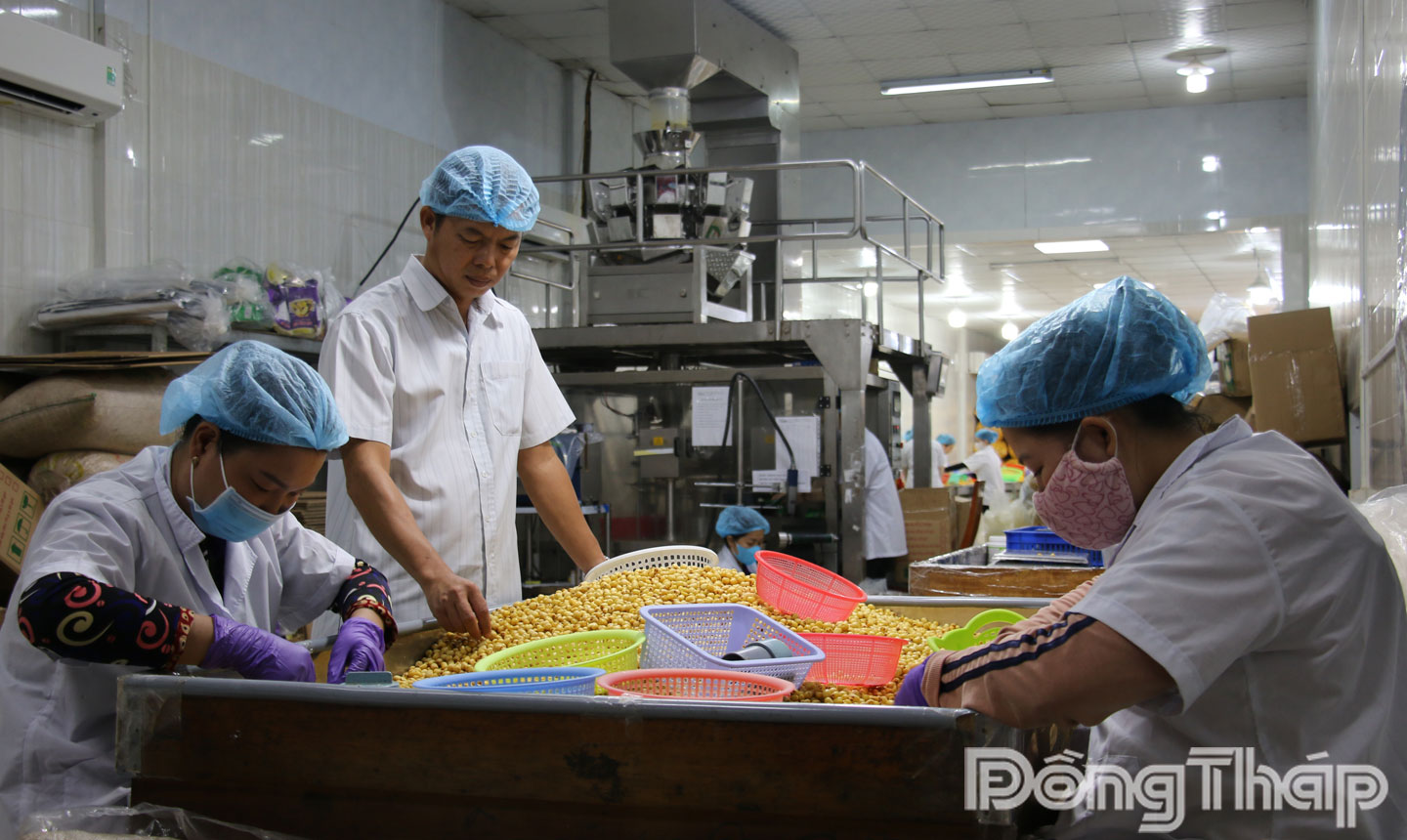 Sản xuất tại Công ty TNHH MTV Nam Huy Đồng Tháp (xã Tân Nhuận Đông).